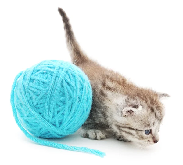 Cat with ball of yarn — Stock Photo, Image