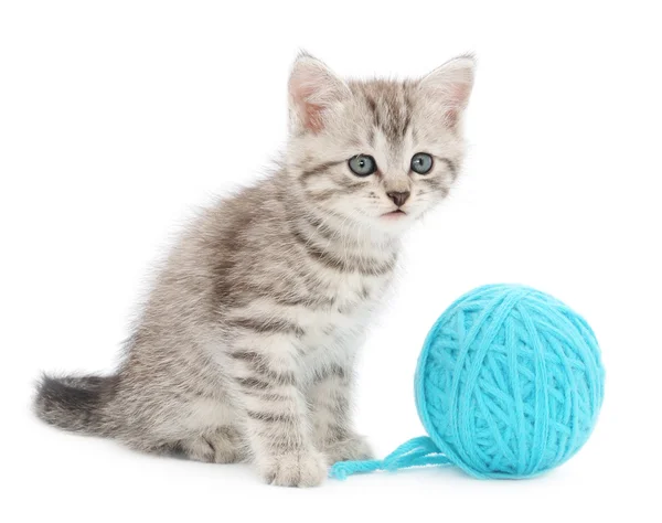 Cat with ball of yarn — Stock Photo, Image