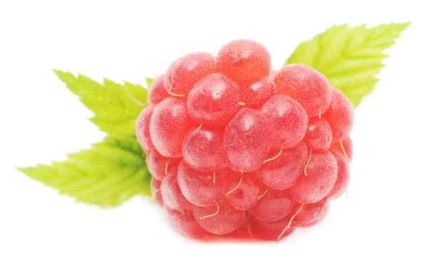 Red raspberry fruits isolated — Stock Photo, Image