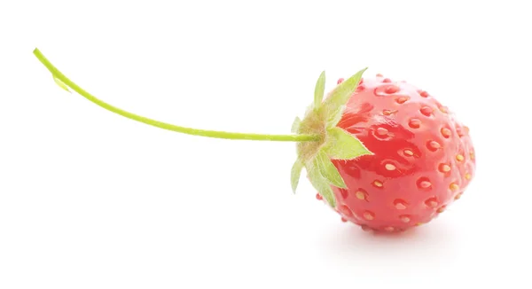 Strawberry — Stock Photo, Image