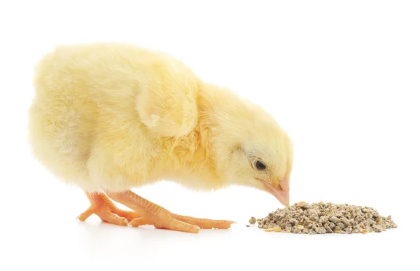 Baby kip een maaltijd — Stockfoto