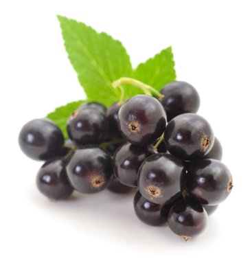 Beyaz arka planda yaprakları olan siyah üzümler..