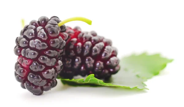 Mulberries Фрукты Листья Белом Фоне — стоковое фото