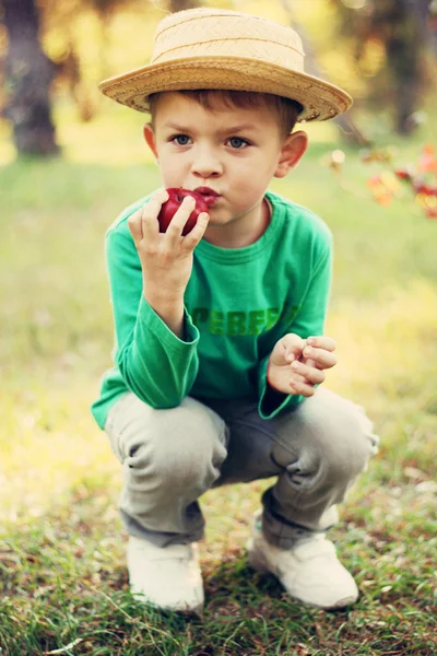 Chłopiec w lesie — Zdjęcie stockowe