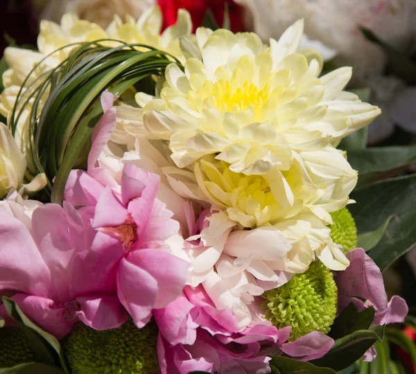 Bukiet świeżych kwiatów — Zdjęcie stockowe