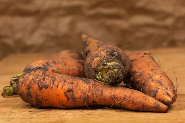 Fresh harvested carrots — Stock Photo, Image