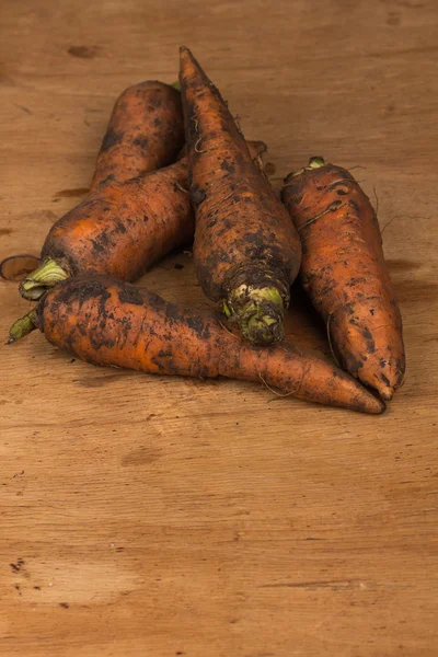 Fresh harvested carrots — Stock Photo, Image