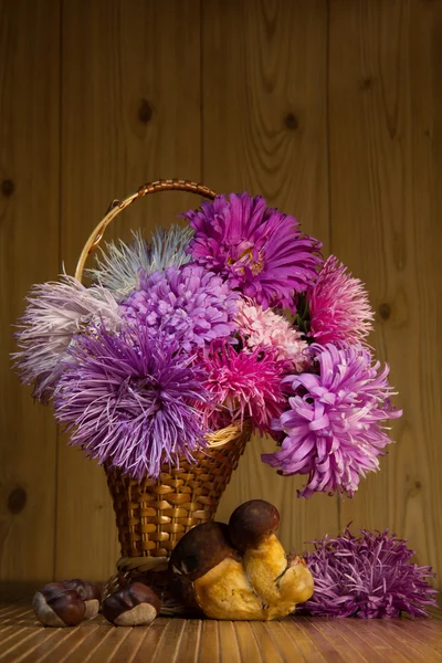 Herfst stilleven — Stockfoto