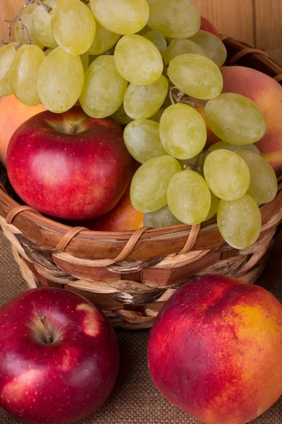 Frutos do outono — Fotografia de Stock