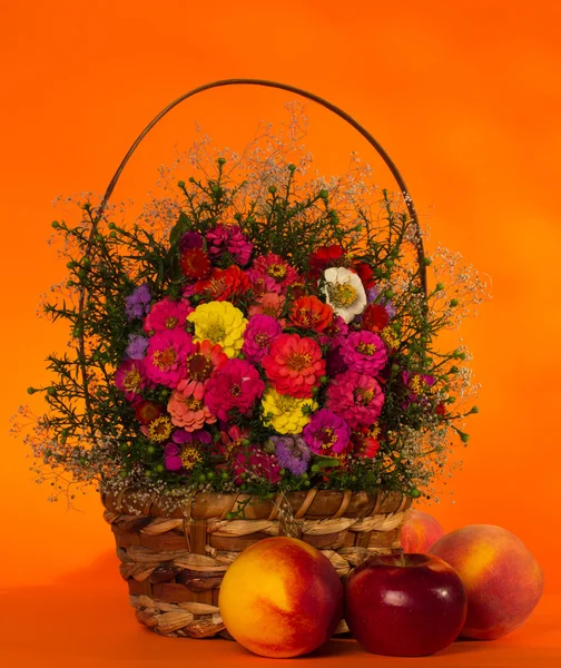 Fiori d'autunno — Foto Stock