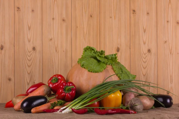 Pumpkin a fresh autumn vegetable — Stock Photo, Image