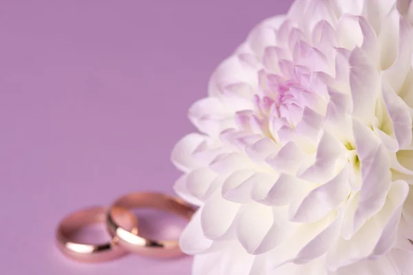 Fondo de boda con flores —  Fotos de Stock