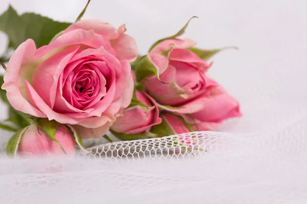 Beautiful roses and weddings rings — Stock Photo, Image