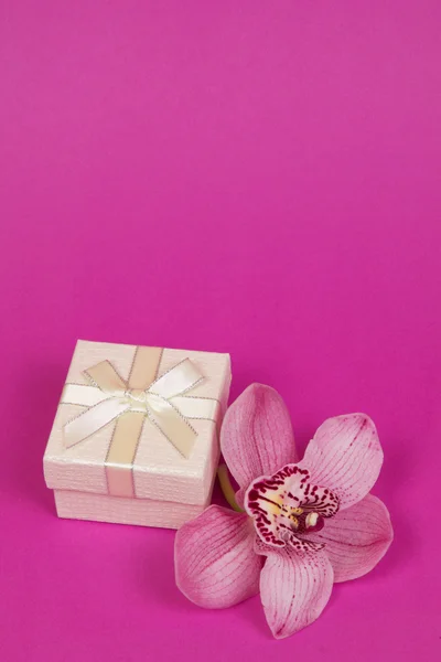 Scatola per regalo e orchidea — Foto Stock