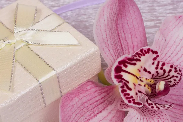 Box für Geschenk und Orchidee — Stockfoto