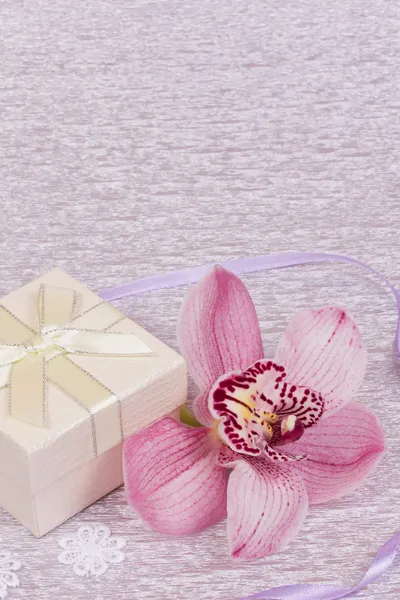 Ve orkide hediye kutusu — Stok fotoğraf