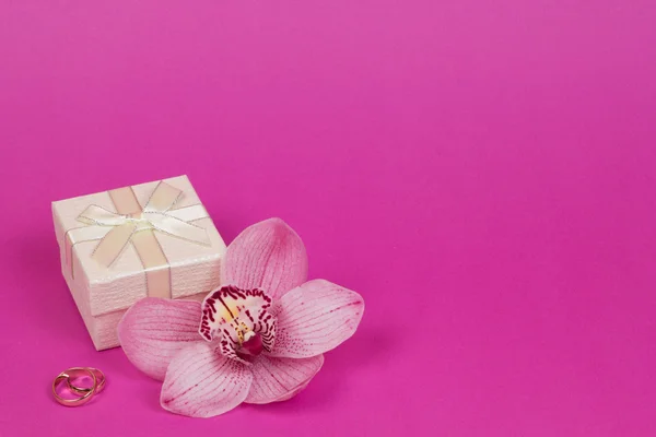 Caja de regalo y orquídea — Foto de Stock