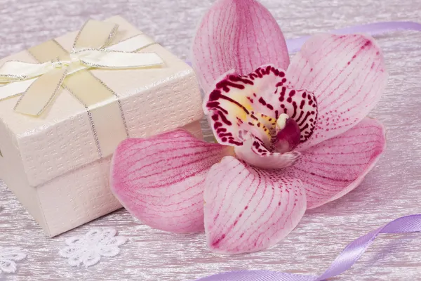 Gift and orhid flower — Stock Photo, Image