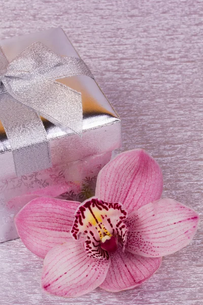 Gift and orhid flower — Stock Photo, Image