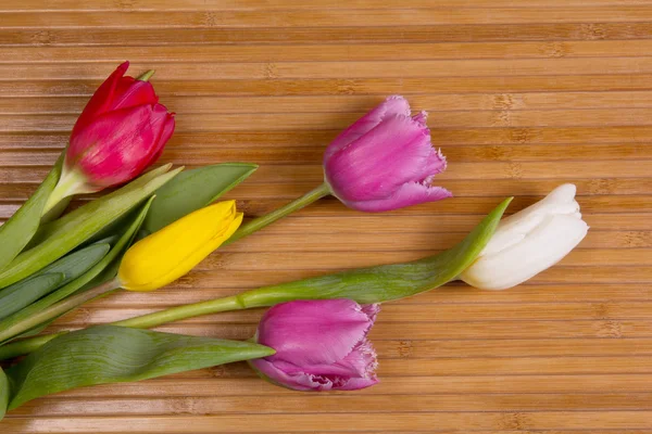 Mooie lentebloemen — Stockfoto