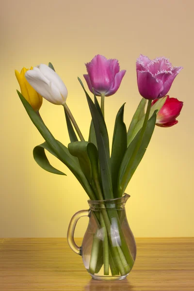 Lindas flores de primavera — Fotografia de Stock