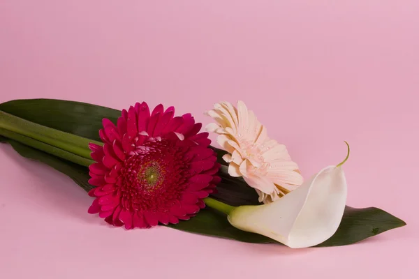 Boeket bloemen — Stockfoto