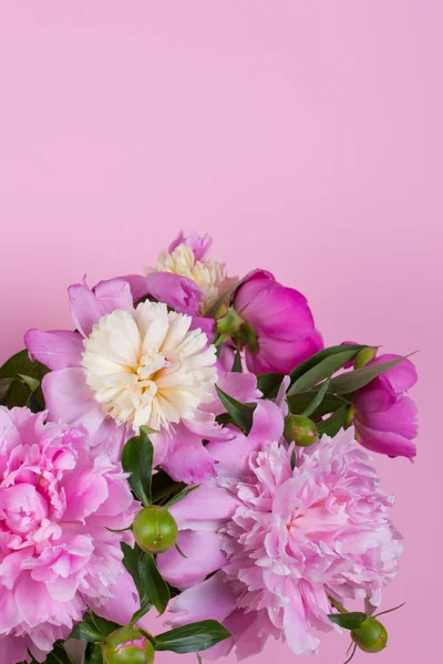 Bouquet de pivoines — Photo