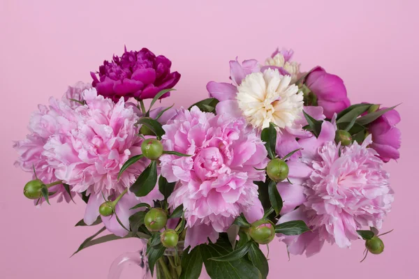 Bouquet di peonie — Foto Stock