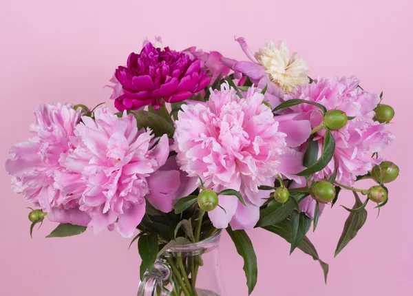 Bouquet di peonie — Foto Stock