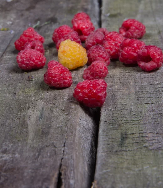 Ripe tasty raspberries — Stock Photo, Image