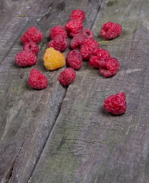 Спелые вкусные малины — стоковое фото