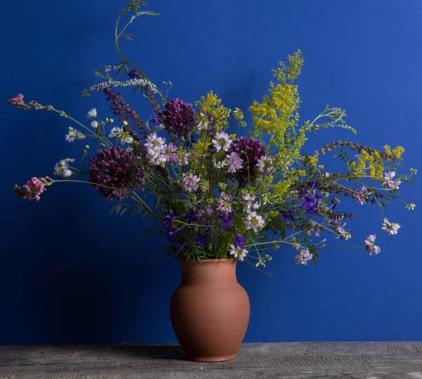 Bouquet of wild flowers — Stock Photo, Image