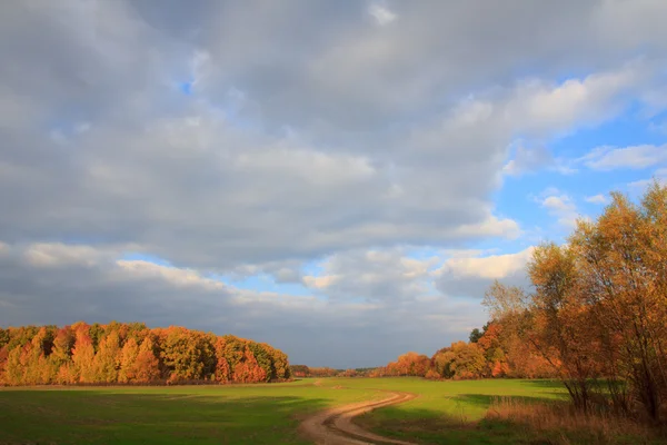 Route de campagne vide — Photo