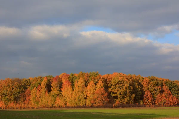 Bellissimo paesaggio colorato autunno — Foto Stock