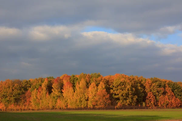 Beau paysage d'automne coloré — Photo