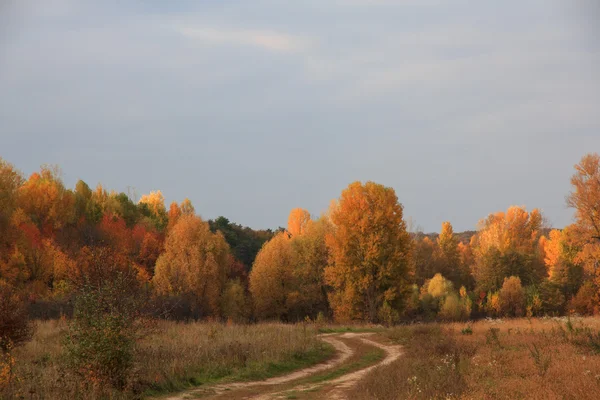 Route de campagne vide — Photo