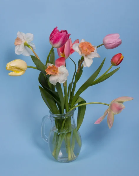 Lindas flores de primavera — Fotografia de Stock