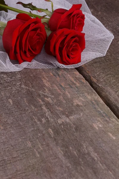 Rose rosse — Foto Stock