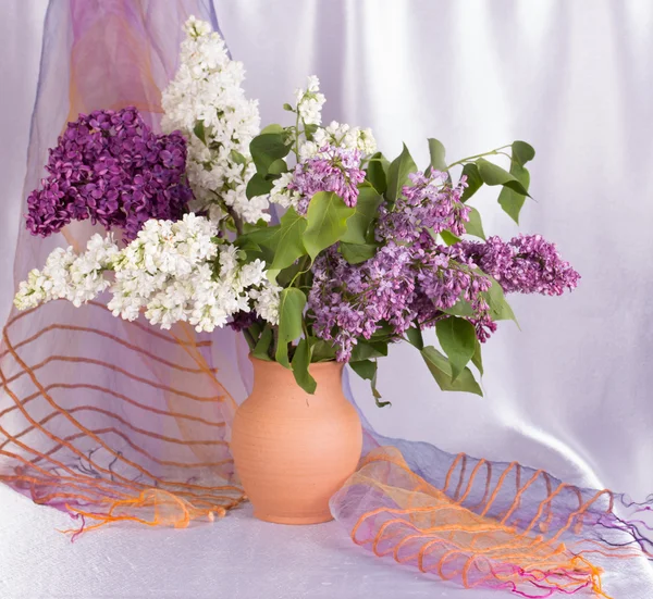 Bellissimo bouquet di lilla — Foto Stock
