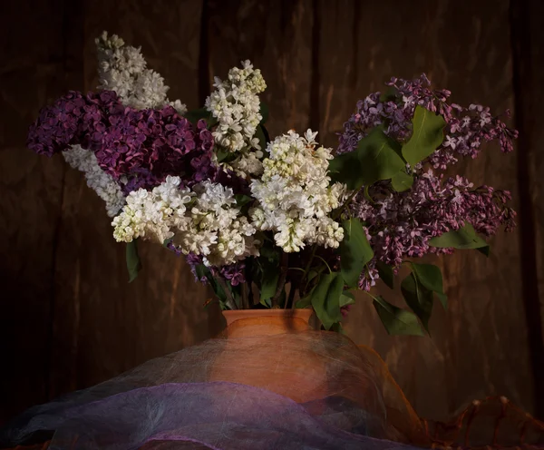 Beautiful bouquet of lilac — Stock Photo, Image