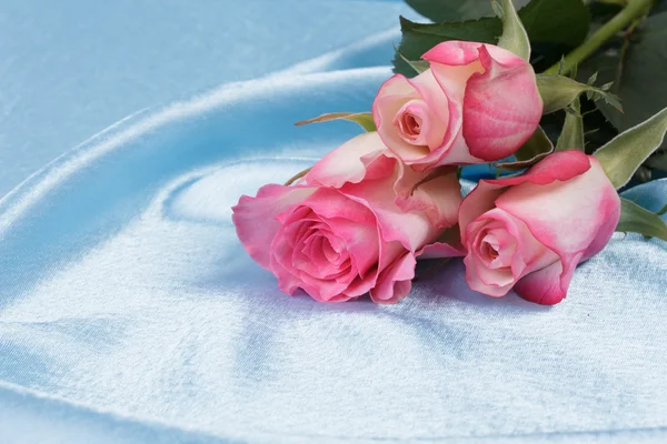 Свіжі рожеві троянди — стокове фото