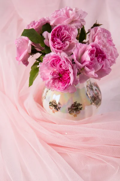 Pink roses — Stock Photo, Image