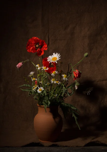 Strauß von Wildblumen — Stockfoto