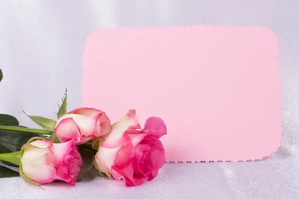 Piękną różę i karta za tekst — Zdjęcie stockowe