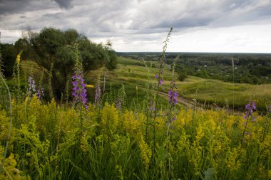 Yaz aylarında bulutlu gün