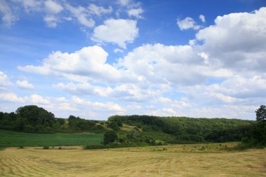 haymaking ile lansdscape