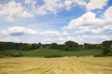 haymaking ile lansdscape