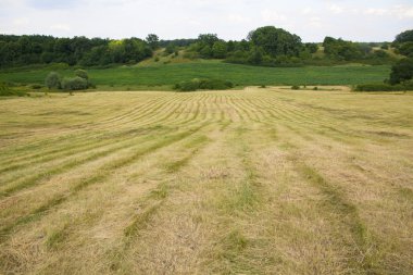 haymaking ile lansdscape