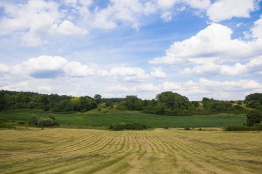 haymaking ile lansdscape