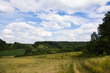 haymaking ile lansdscape